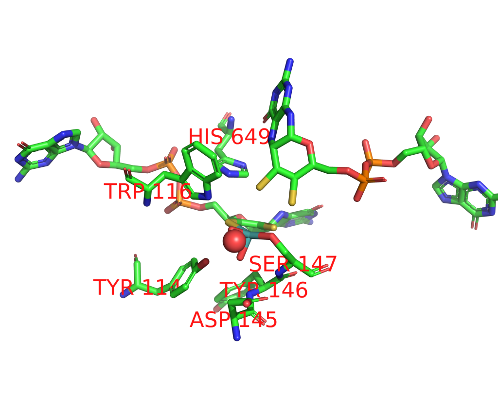 Molybdenum binding site 1 out of 1 in 1dms Molybdenum binding site 1 out of 1 in 1dms