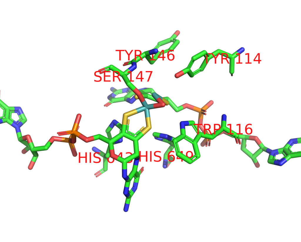 Molybdenum binding site 3 out of 4 in 1e61 Molybdenum binding site 3 out of 4 in 1e61