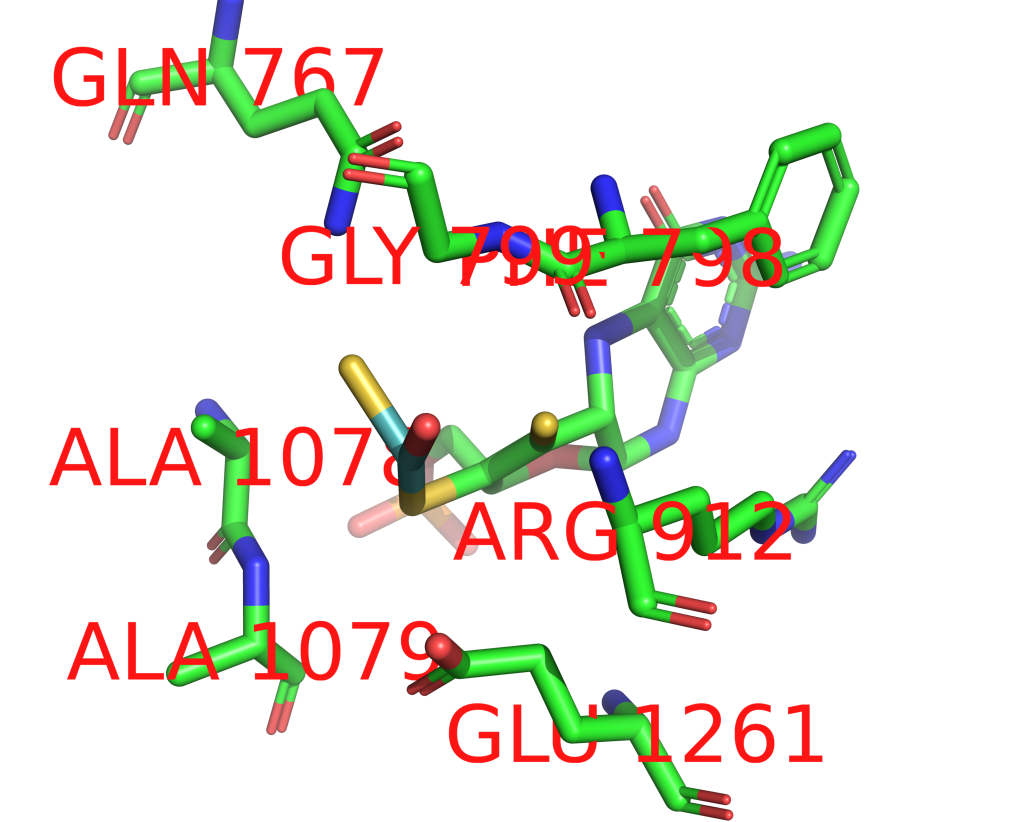 Molybdenum binding site 1 out of 1 in 1fiq Molybdenum binding site 1 out of 1 in 1fiq
